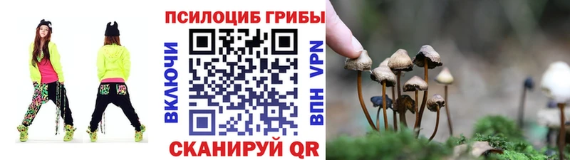 Купить где  Находка  Галлюциногенные грибы прущие грибы 